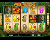 Wild Orient