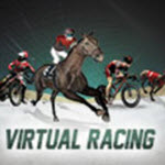 Virtual Racing