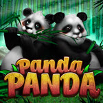 Panda Panda