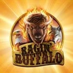 Ragin’ Buffalo
