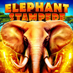 Elephant Stampede