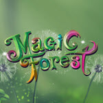 Magic Forest