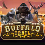 Buffalo Trail