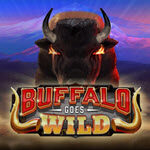 Buffalo Goes Wild