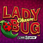 Lady Charm Bug