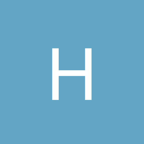 hamster11